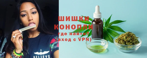 гидра Пестово