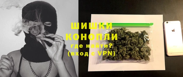 молекула духа Покров