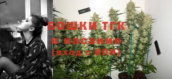 гашик Грязовец