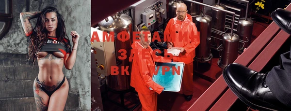 ГАЛЛЮЦИНОГЕННЫЕ ГРИБЫ Покачи