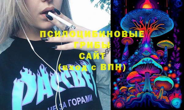ГАЛЛЮЦИНОГЕННЫЕ ГРИБЫ Покачи