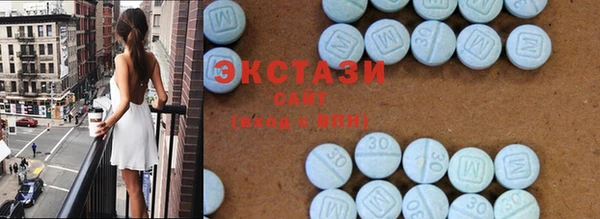 гашик Грязовец