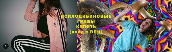 молекула духа Покров