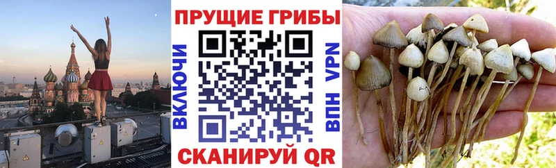 Галлюциногенные грибы мухоморы  kraken tor  Солигалич 