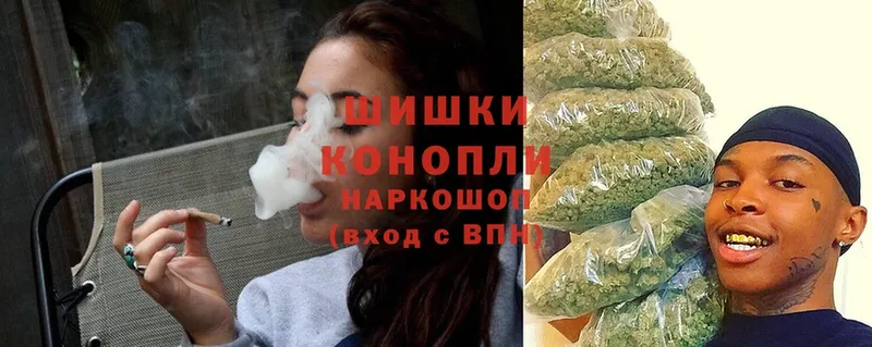 купить закладку  Солигалич  Шишки марихуана Ganja 